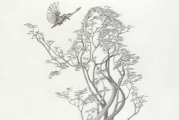 Khám phá vận mệnh cuộc sống và những thử thách bạn sẽ phải đối mặt trong năm mới 2021 này thông qua Thần số học-2