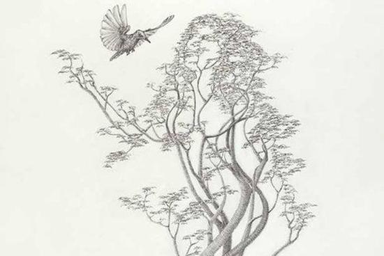 Hình ảnh đầu tiên nhìn thấy tiết lộ điều gì khiến bạn được mọi người yêu mến