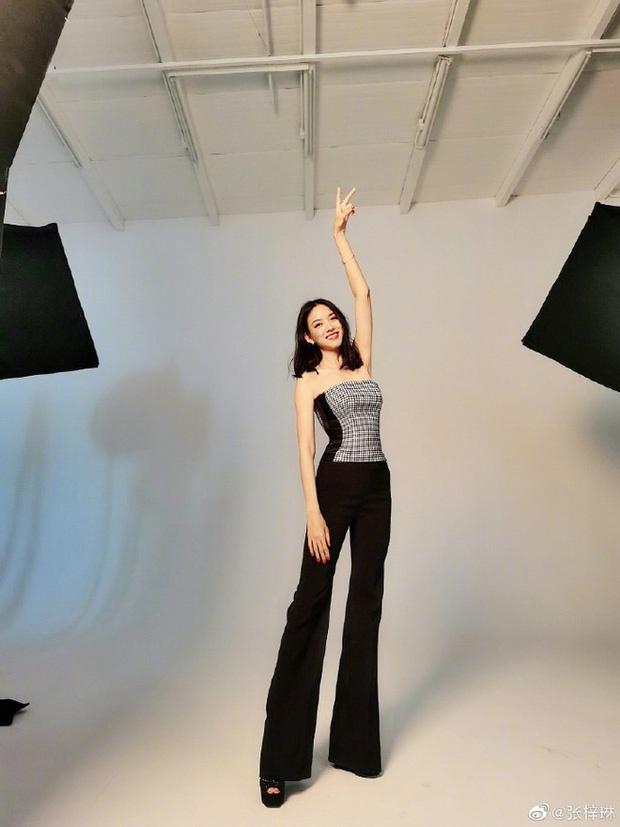 Đời đối lập của Hoa hậu Thế giới Trương Tử Lâm và Vu Văn Hà-3