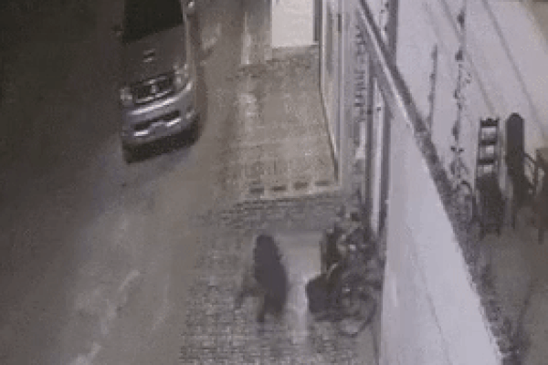 Bé gái ngồi xe lăn 8 năm như tật nguyền, sự thật phía sau gây phẫn nộ-2