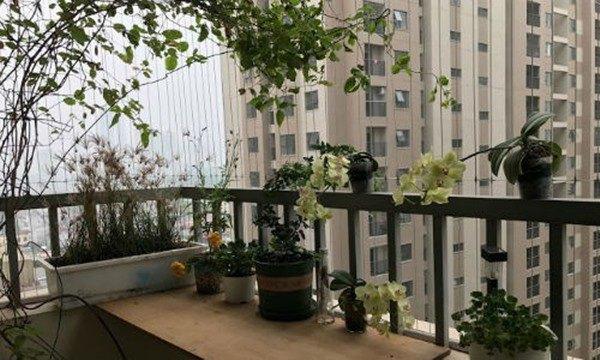 Thiết kế nhà chung cư phải nhớ giữ những nguyên tắc này, nhà giàu tuân thủ cực nghiêm-2