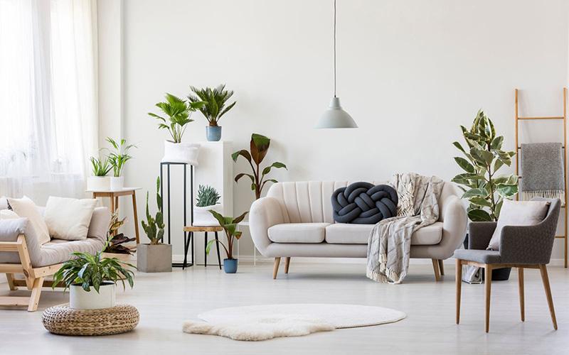 Trang trí phòng khách chuẩn phong thủy đón năm Tân Sửu tài lộc thịnh vượng, gia đạo ấm êm-3