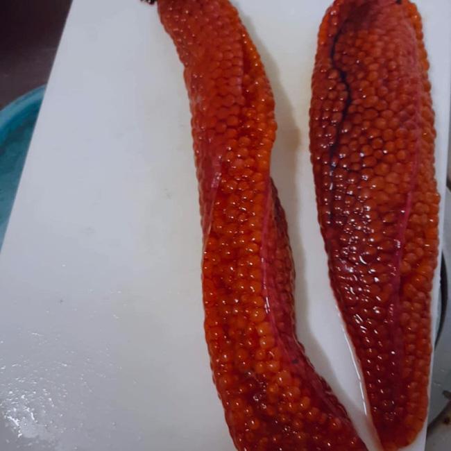Mổ cá hồi phát hiện buồng trứng siêu to, mẹ trẻ lên hỏi dân mạng cách chế biến, được tư vấn hài hước-2