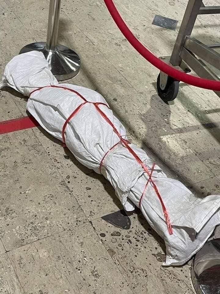 Đang ngồi chờ bay, toàn bộ hành khách hú hồn bỏ chạy khi nhìn thấy vật thể lạ-2