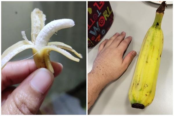 Những thực phẩm đột biến gen cứ ngỡ chỉ có trên phim hoạt hình-2