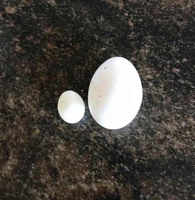 Những thực phẩm đột biến gen cứ ngỡ chỉ có trên phim hoạt hình-4