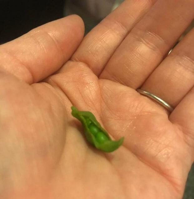 Những thực phẩm đột biến gen cứ ngỡ chỉ có trên phim hoạt hình-10