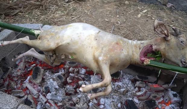 Bà Tân Vlog làm dê nướng nguyên con, dân mạng chỉ ra chi tiết tàn nhẫn-4