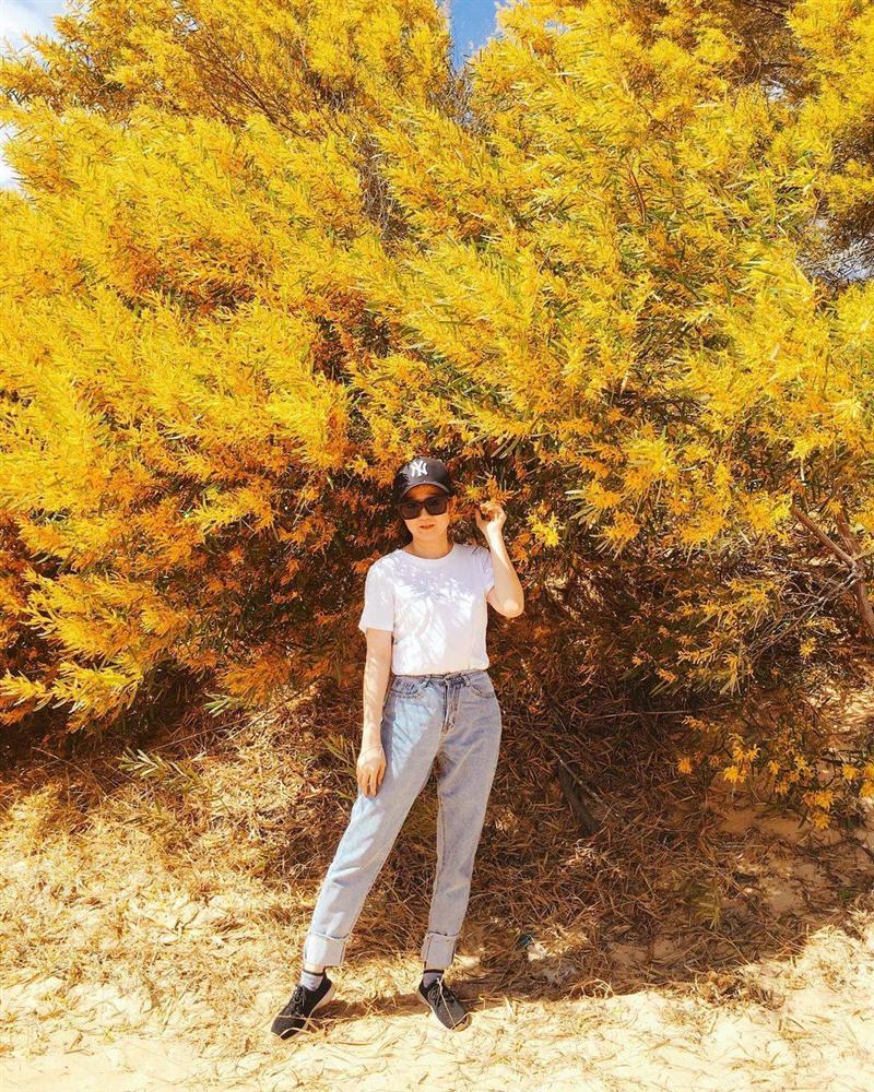 Mê mẩn một góc trời vàng rực với mùa hoa keo lá tràm ở Phan Thiết-5