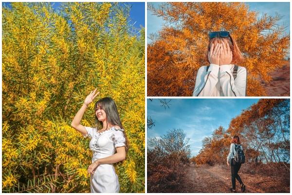 Du khách đừng bỏ lỡ những bãi biển đẹp khi đến Phan Thiết-6