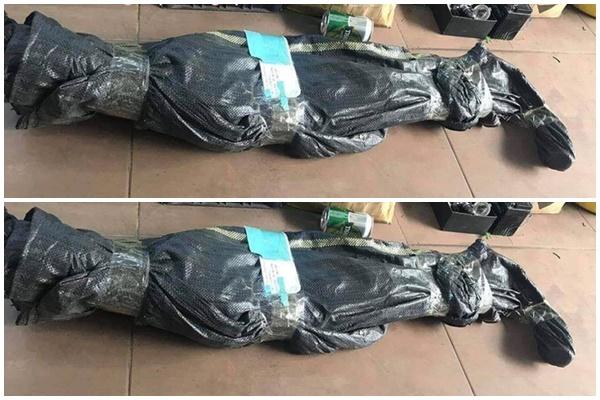 Những pha gói hàng khiến người nhận xỉu lên, xỉu xuống-2