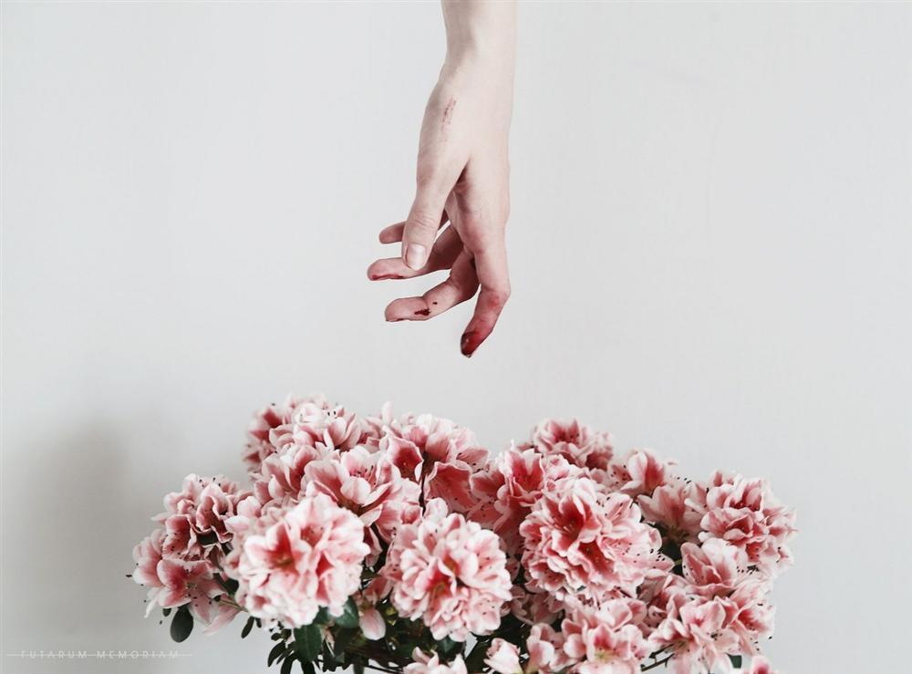 Tử vi 12 cung hoàng đạo thứ Bảy ngày 9/1/2021: Cự Giải bốc đồng, Nhân Mã thông minh-3