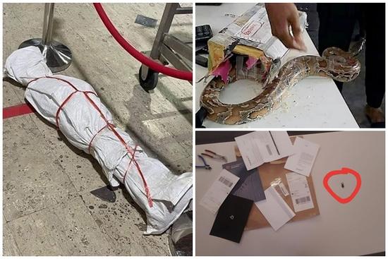 Những pha gói hàng khiến người nhận 'xỉu lên, xỉu xuống'