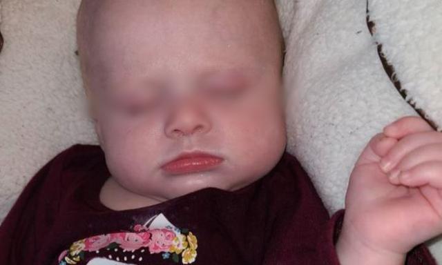 Bé gái 4 tháng tuổi bị chó nhà nuôi đè tử vong trong lúc ngủ-1