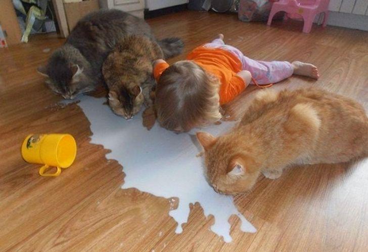 Muôn khoảnh khắc nghịch ngợm nhưng vẫn đáng yêu của lũ trẻ khiến cha mẹ vừa cưng vừa ghét-1