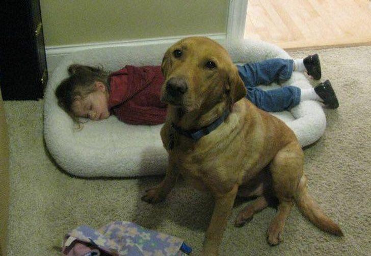 Muôn khoảnh khắc nghịch ngợm nhưng vẫn đáng yêu của lũ trẻ khiến cha mẹ vừa cưng vừa ghét-7