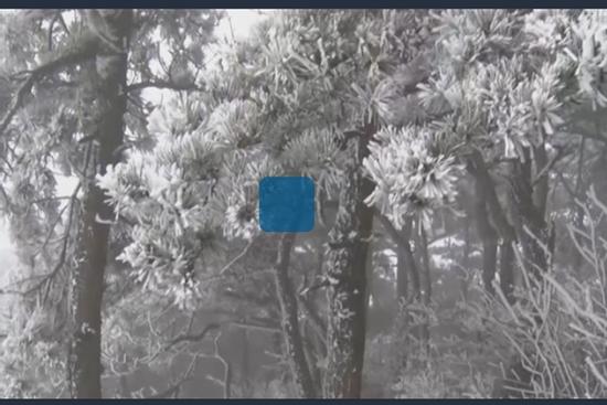 Ngọn núi ở Trung Quốc chìm trong tuyết trắng