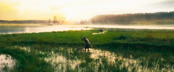 Cậu Vàng: Khi tác phẩm văn học nổi tiếng bị cải biên quá đà-2