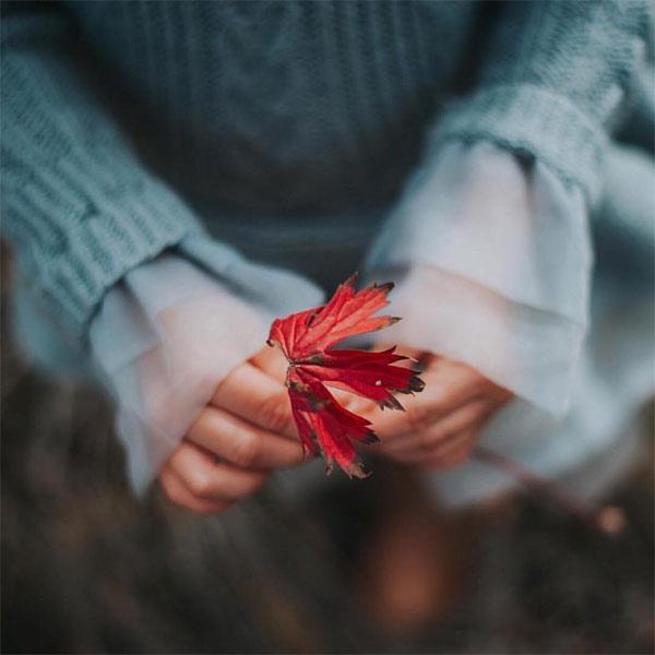 Tử vi 12 cung hoàng đạo Chủ nhật ngày 10/1/2021: Bạch Dương cứng nhắc, Kim Ngưu hòa đồng-3