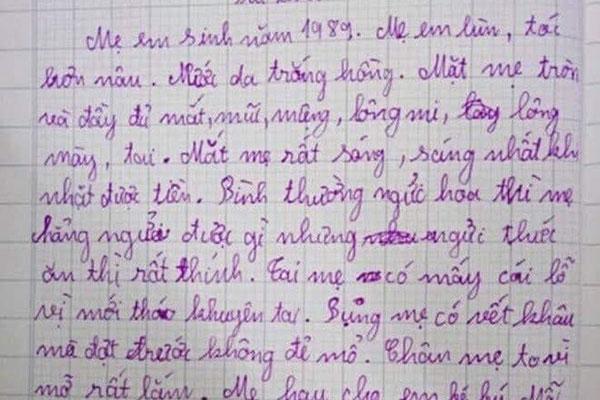 Ngượng chín mặt đọc những dòng tin nhắn của cặp học sinh tiểu học-4