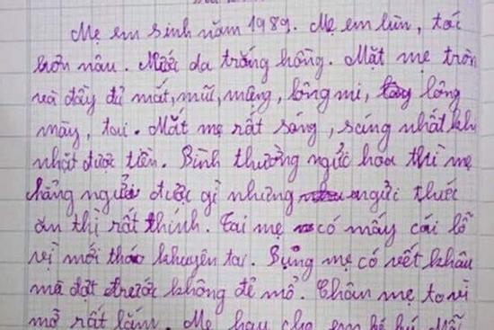Nhóc tiểu học làm văn tả mẹ, ai cũng bật cười vì quá thô nhưng chân thực
