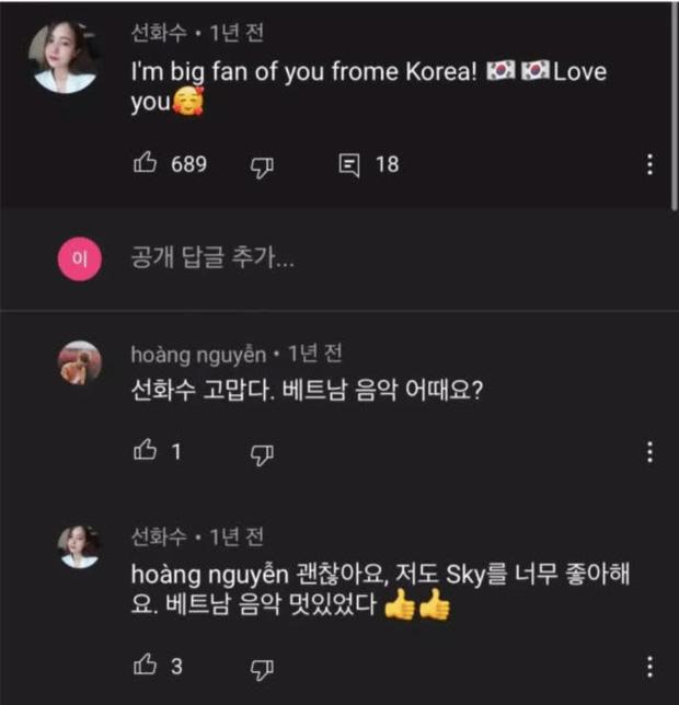 Knet tố cáo fan Việt giả làm người Hàn Quốc để bình luận dưới MV của Sơn Tùng M-TP?-6