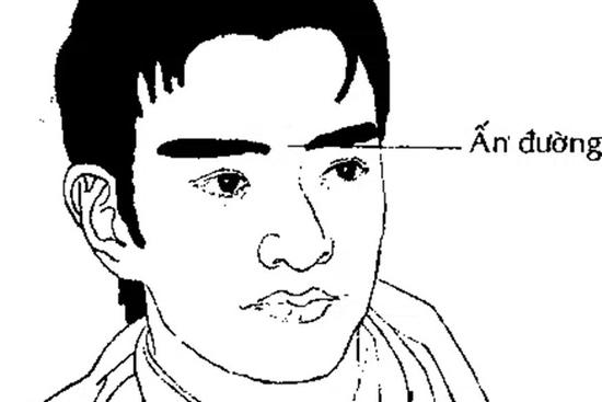 Đàn ông sở hữu đặc điểm này trên gương mặt, phụ nữ nhớ tránh xa kẻo cuộc sống gặp chông gai