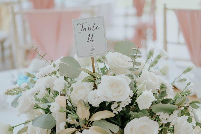 Tử vi 12 cung hoàng đạo thứ Hai ngày 11/1/2021: Song Tử cảm tính, Cự Giải kiên nhẫn-2