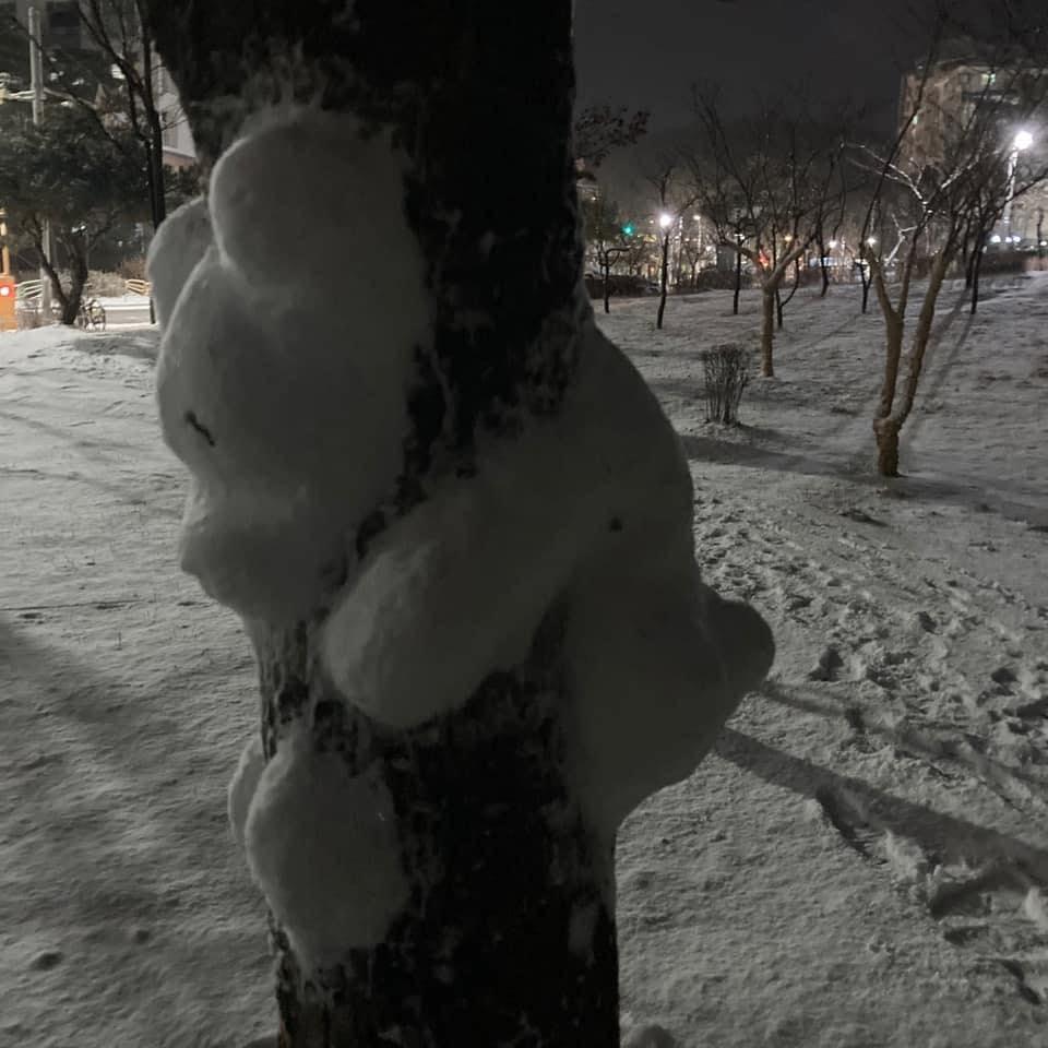 Tuyết rơi dày là lúc những nhà điêu khắc ra đời-7