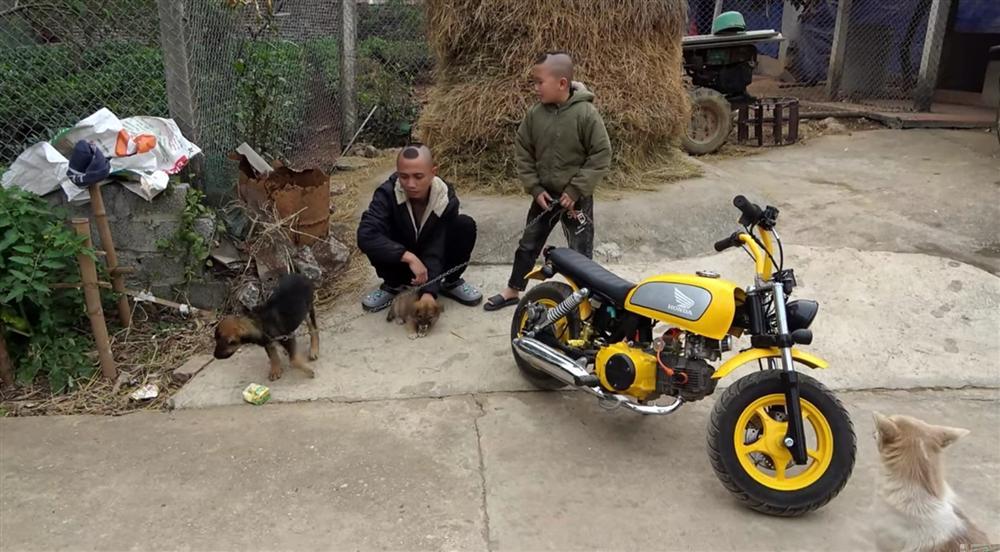 Anh em Tam Mao ăn no gạch đá khi làm clip ngược đãi động vật-1