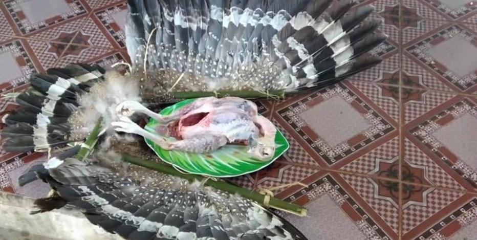 Anh em Tam Mao ăn no gạch đá khi làm clip ngược đãi động vật-3