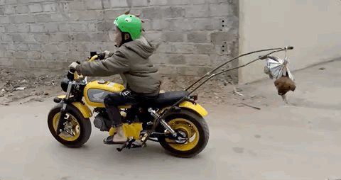 Anh em Tam Mao ăn no gạch đá khi làm clip ngược đãi động vật-2