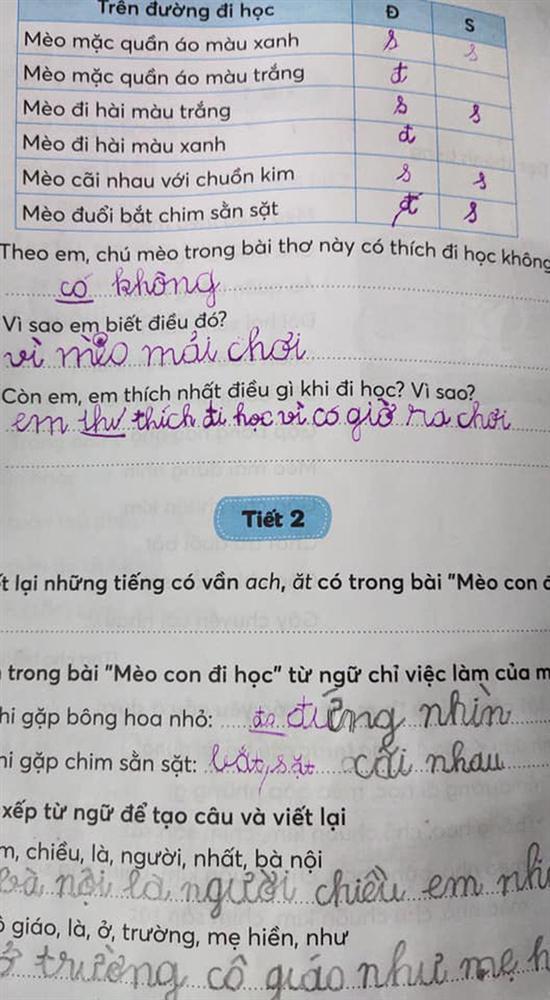 Hỏi thích gì nhất khi đến trường, câu trả lời nhóc tiểu học làm người đọc cười lăn lóc-1