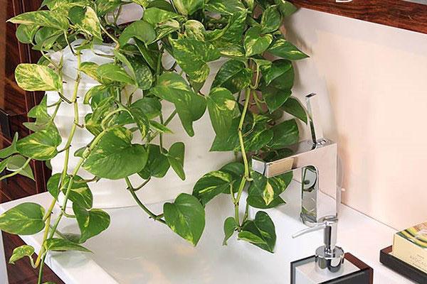 Ví tiền đừng dùng quá 3 năm, nếu không đừng hỏi sao làm ăn mãi không lên-3