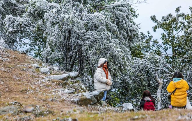 Trèo lên mỏm đá tử thần chụp ảnh trong băng giá ở Hà Giang, du khách bị rơi xuống khe đá-7