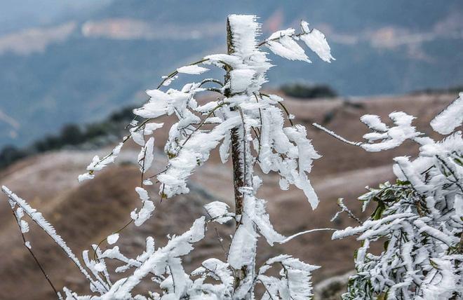Trèo lên mỏm đá tử thần chụp ảnh trong băng giá ở Hà Giang, du khách bị rơi xuống khe đá-10