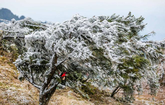 Trèo lên mỏm đá tử thần chụp ảnh trong băng giá ở Hà Giang, du khách bị rơi xuống khe đá-5