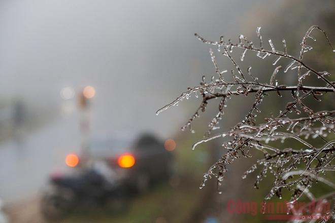 Nhiệt độ xuống âm, khách du lịch ùn ùn kéo lên Sapa đợi tuyết-9