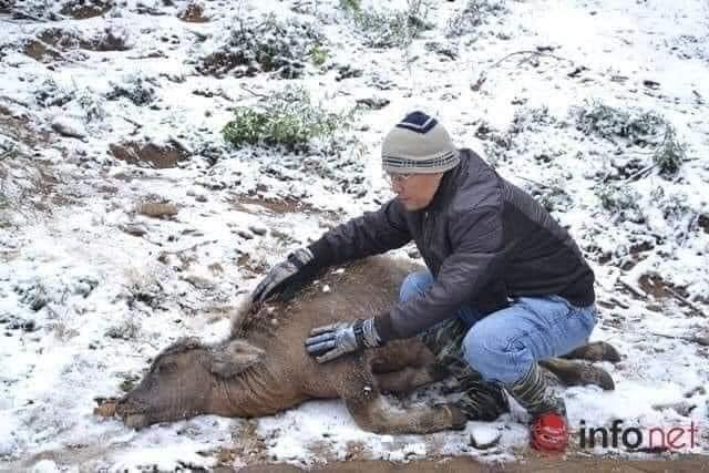 Ngay lúc này: Y Tý tuyết rơi trắng xóa khác nào Hàn Quốc-8