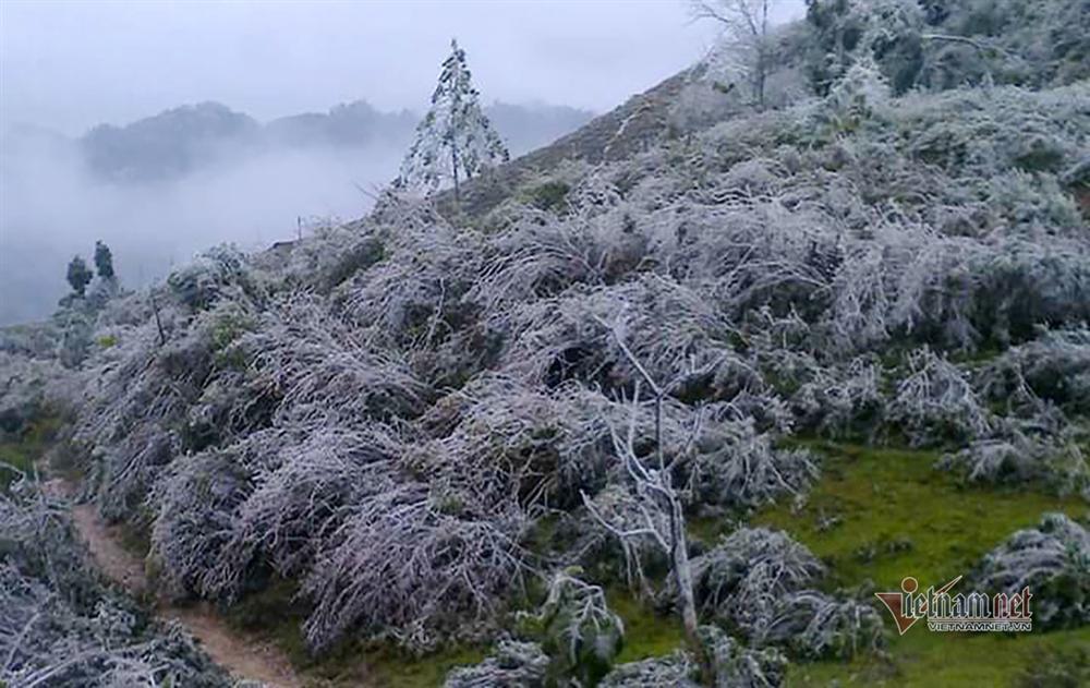 Băng giá trắng xóa, bộ đội trực chiến nơi biên ải rét buốt thấu xương-2