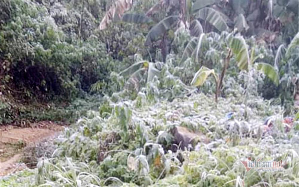 Băng giá trắng xóa, bộ đội trực chiến nơi biên ải rét buốt thấu xương-5