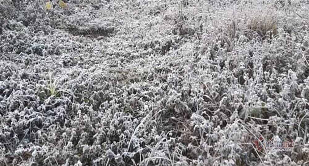 Băng giá trắng xóa, bộ đội trực chiến nơi biên ải rét buốt thấu xương-8