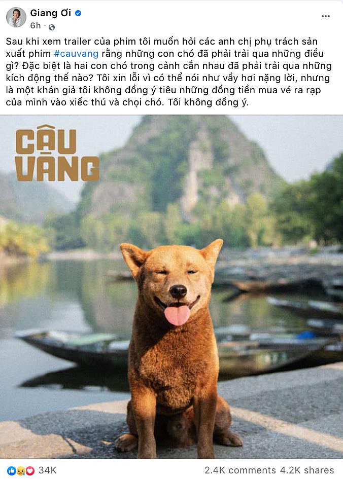 Làng phim Việt nháo nhào vì Cậu Vàng: Khen dè dặt, chê sấp mặt-7