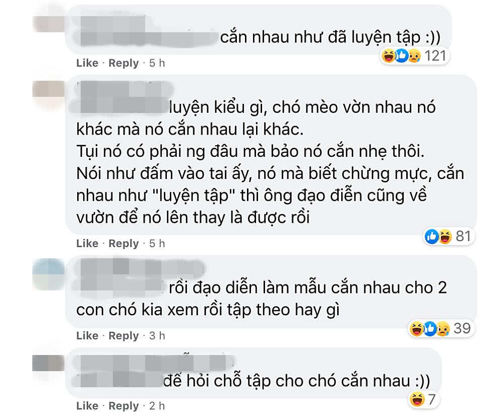 Làng phim Việt nháo nhào vì Cậu Vàng: Khen dè dặt, chê sấp mặt-10