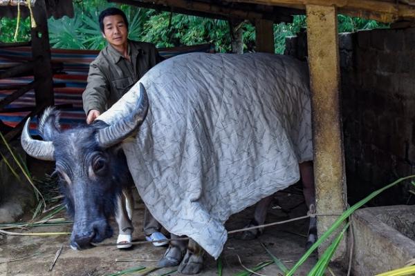 Xót xa ảnh em bé vùng cao mắt đỏ ngầu vì thời tiết lạnh thấu xương-6