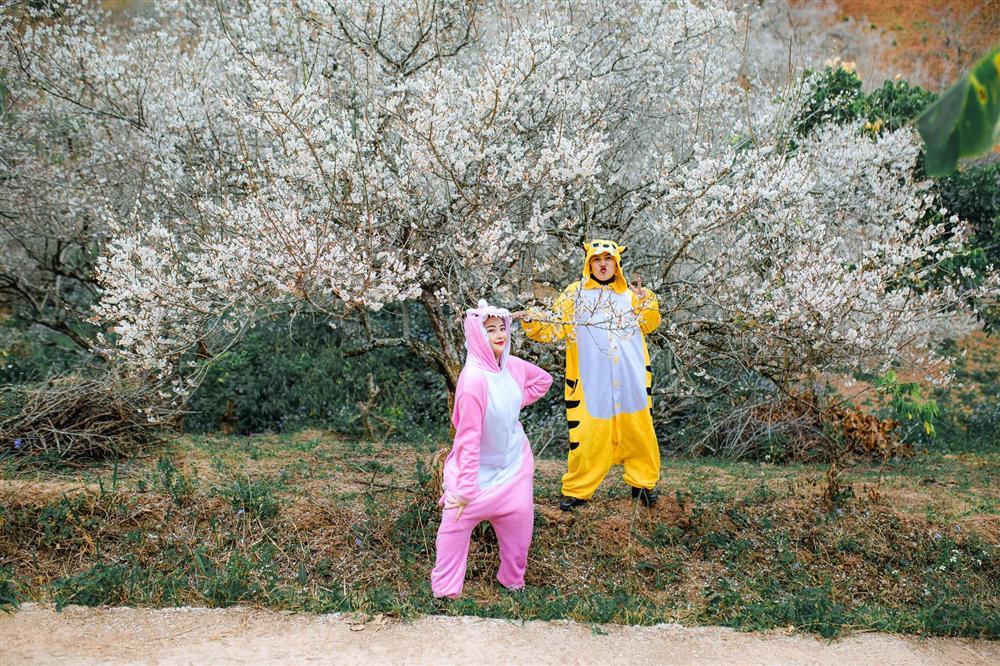 Cặp bạn thân ‘cọp vàng - khủng long’ vượt ngàn km lên Mộc Châu ‘săn’ mùa hoa mơ đẹp như bài thơ-3