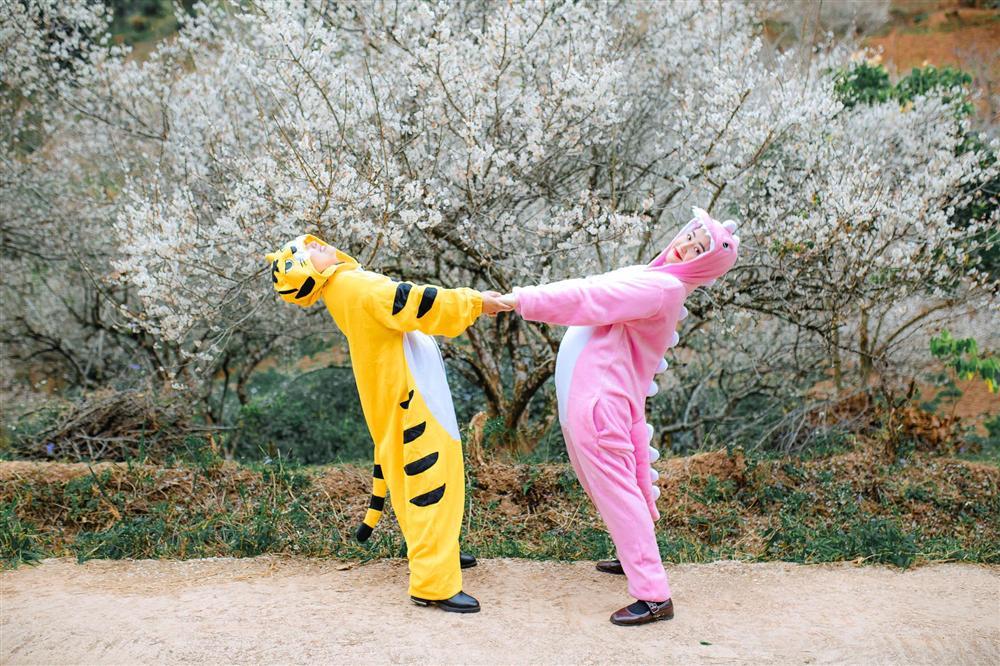 Cặp bạn thân ‘cọp vàng - khủng long’ vượt ngàn km lên Mộc Châu ‘săn’ mùa hoa mơ đẹp như bài thơ-6