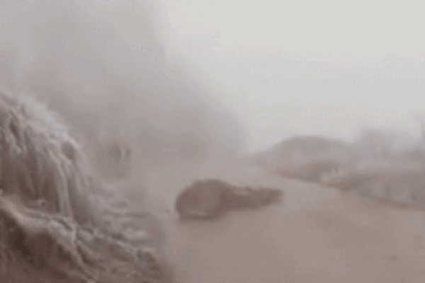 Clip: Trâu bò ngã dúi dụi trên đường trơn trượt, chết do băng tuyết ở Lào Cai-2