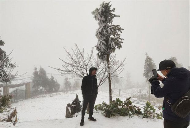 Clip: Trâu bò ngã dúi dụi trên đường trơn trượt, chết do băng tuyết ở Lào Cai-1
