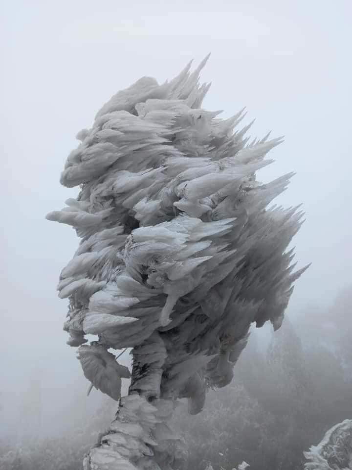 Loạt ảnh tuyết rơi trắng xóa tựa trời Âu tại các điểm du lịch Tây Bắc khiến dân tình phát sốt-1